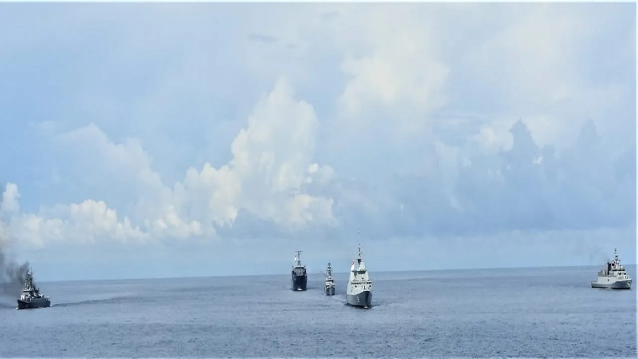 Navy
