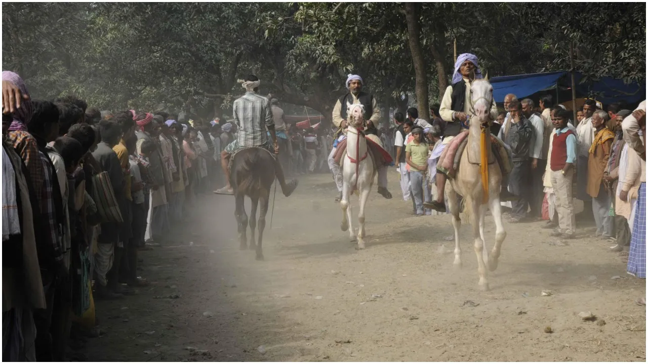 Sonpur Mela