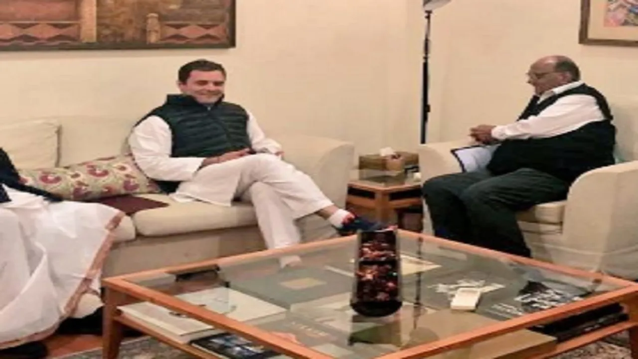 Sharad Pawar Rahul Gandhi