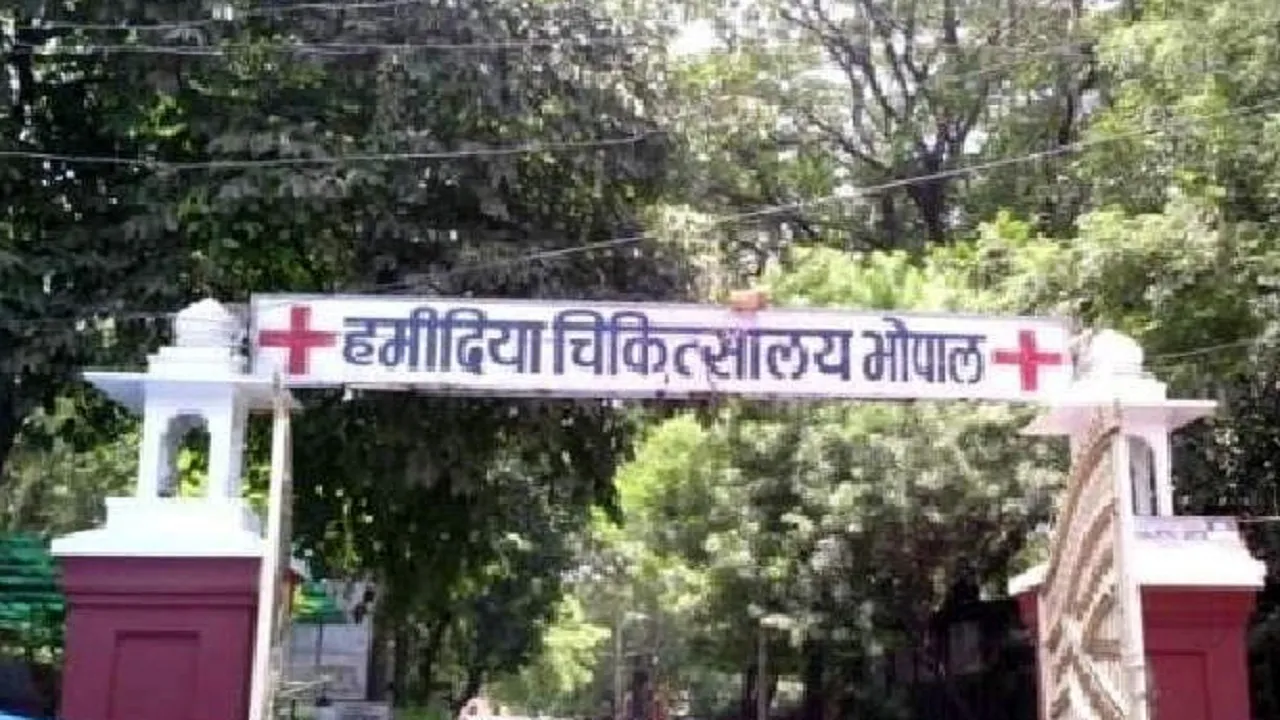 Hamidia Hospital