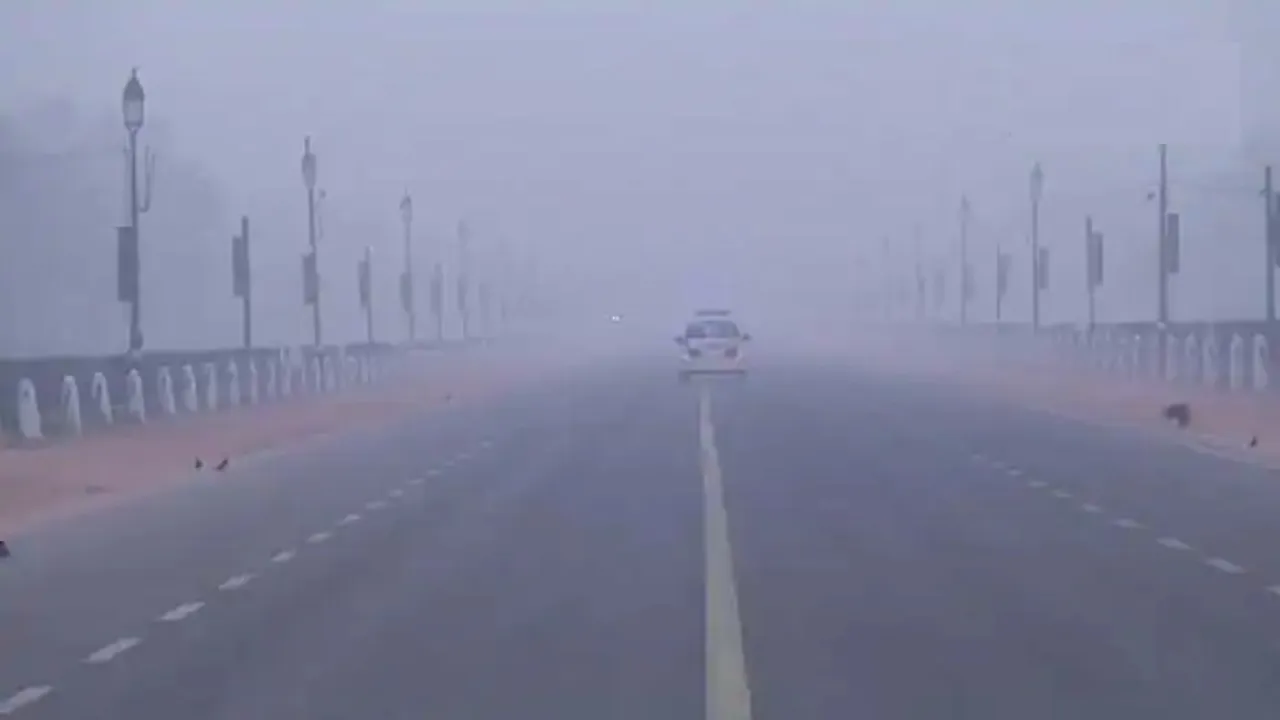 delhi weather