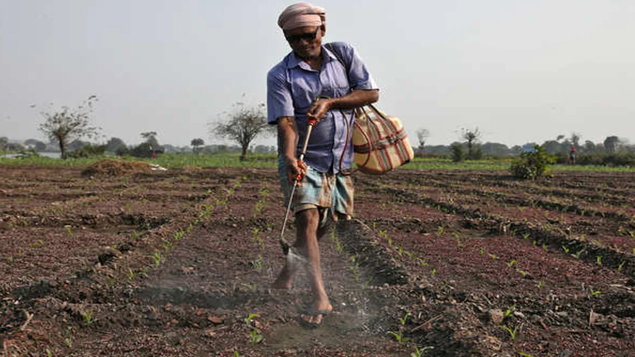 Rabi Crop Sowing Report