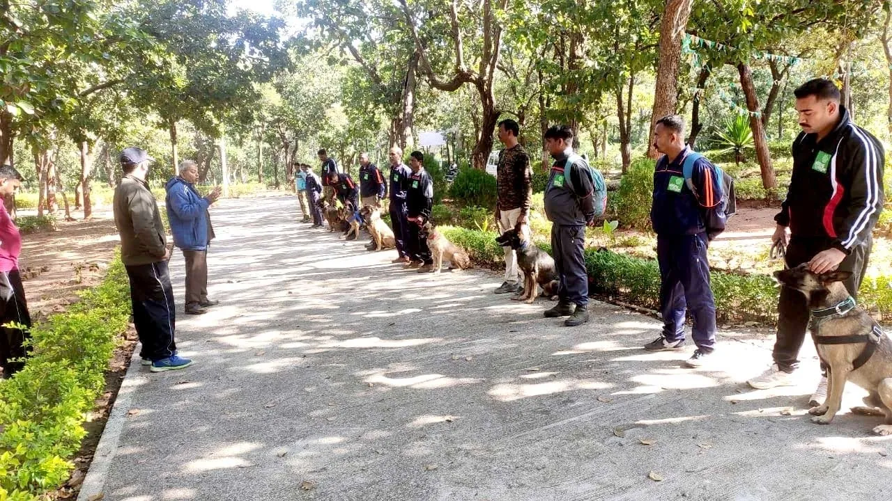 Dog Training
