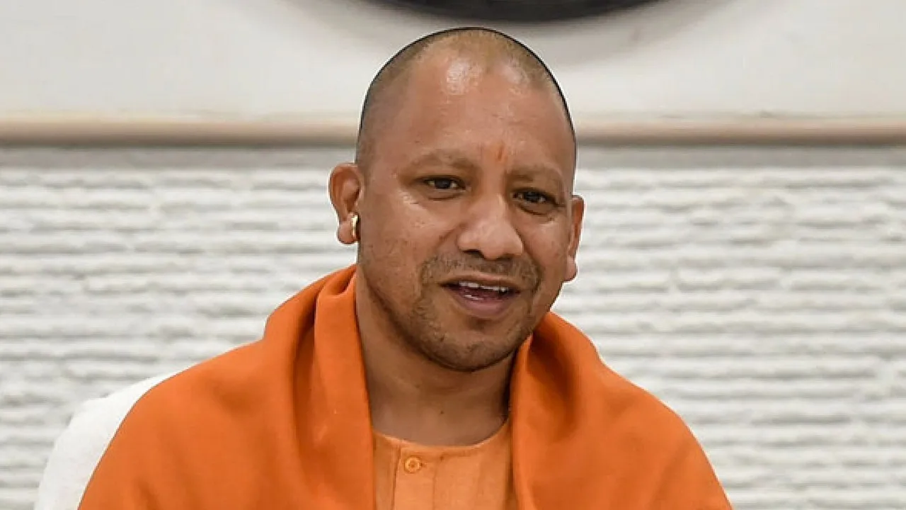 yogi