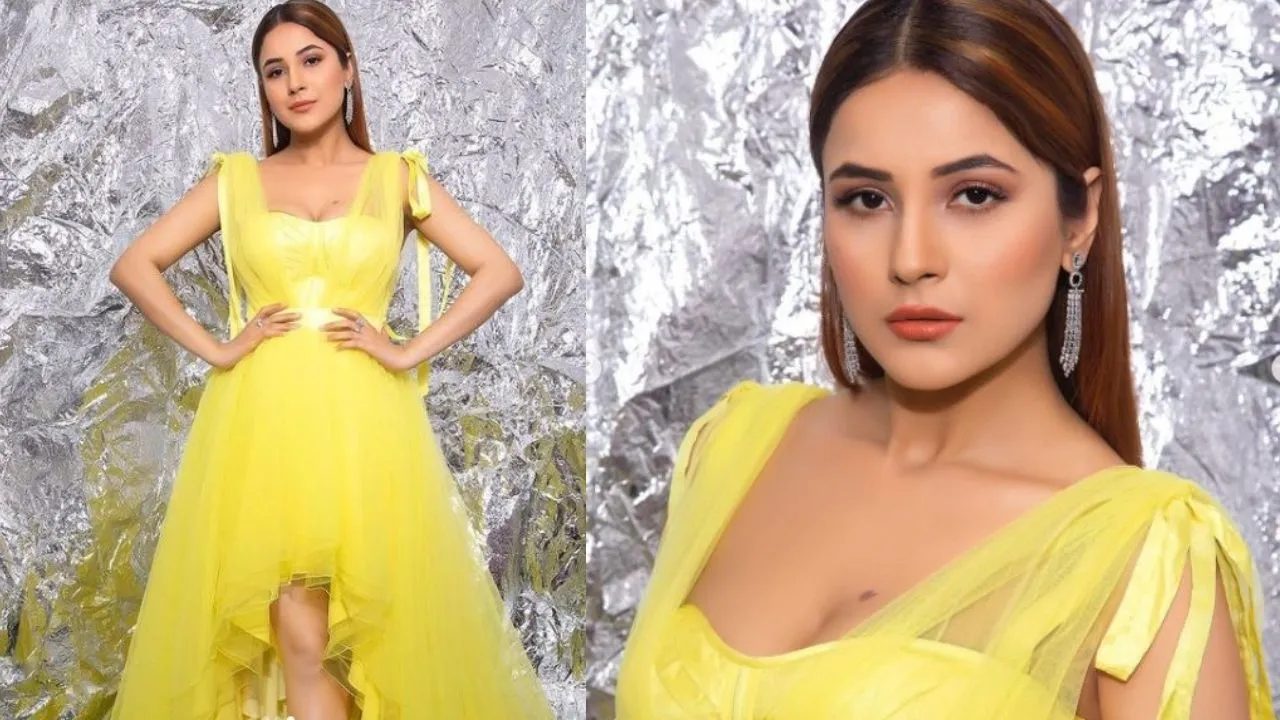 Shehnaaz Gill