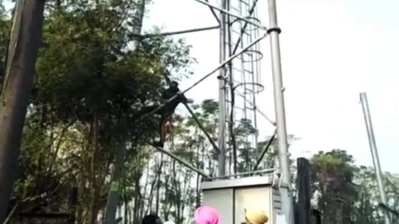 Mobile Tower