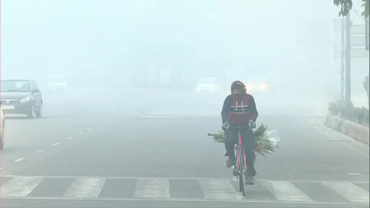 Fog