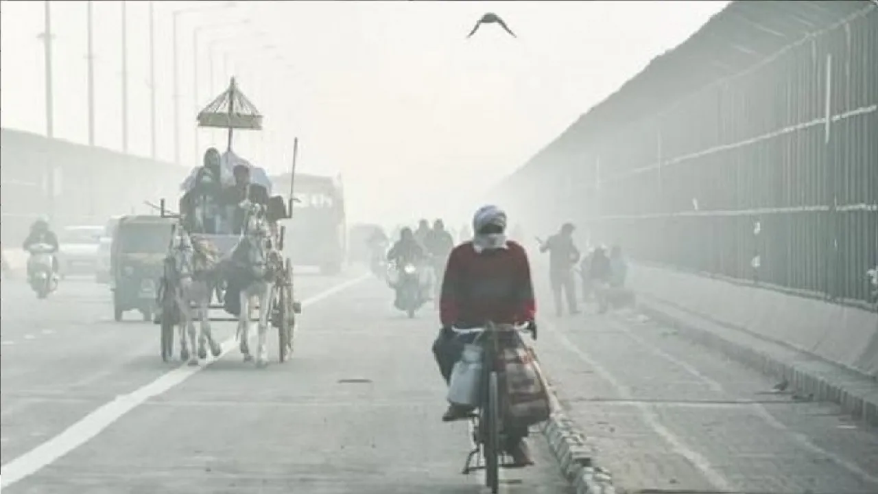 delhi winter