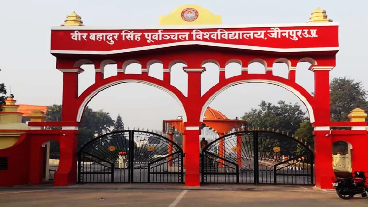 UP University