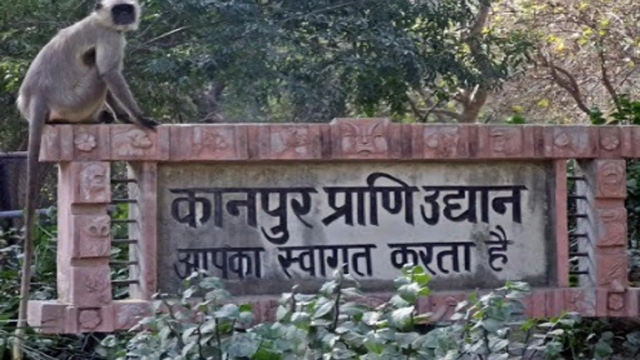 Kanpur Zoo