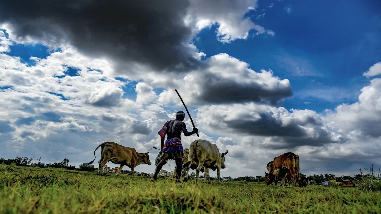 Portal launched to benefit farmers from Gobardhan