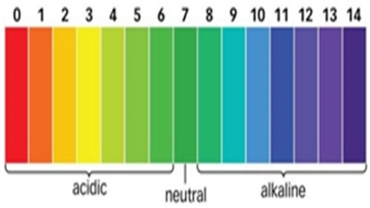 skin ph 5 5