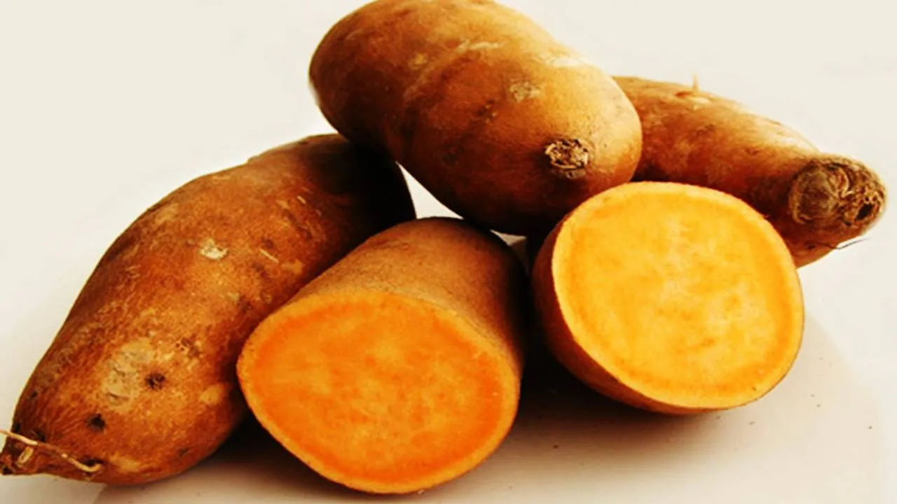 sweet potato