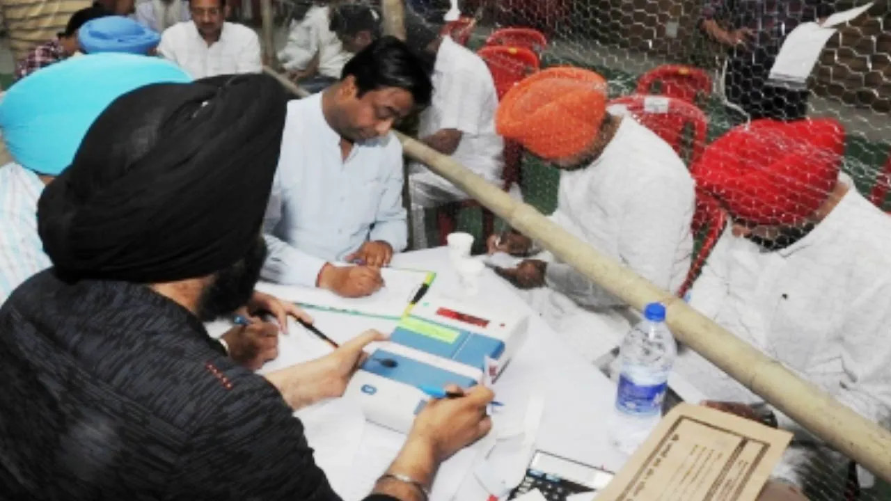 Punjab Municipal Election Results