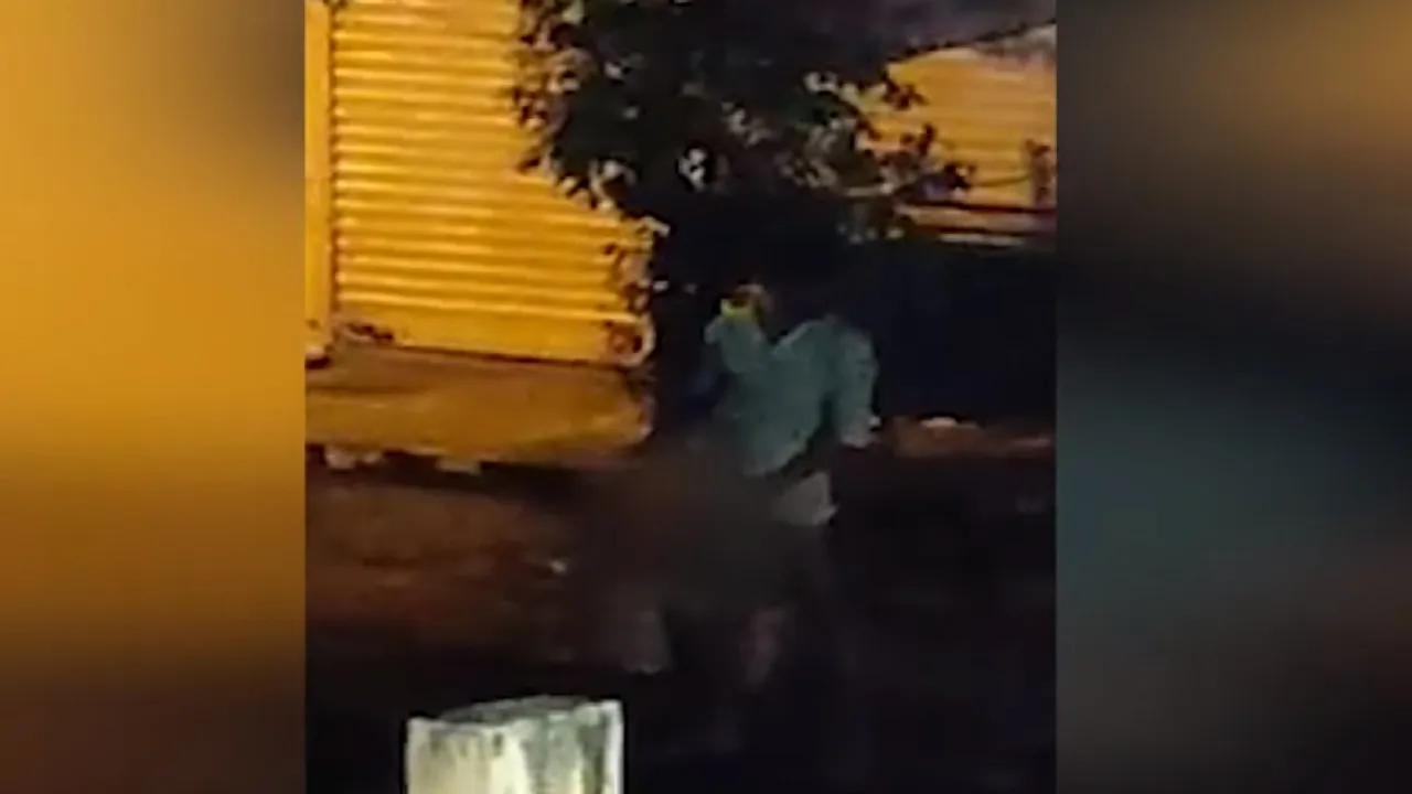 sex with female dog