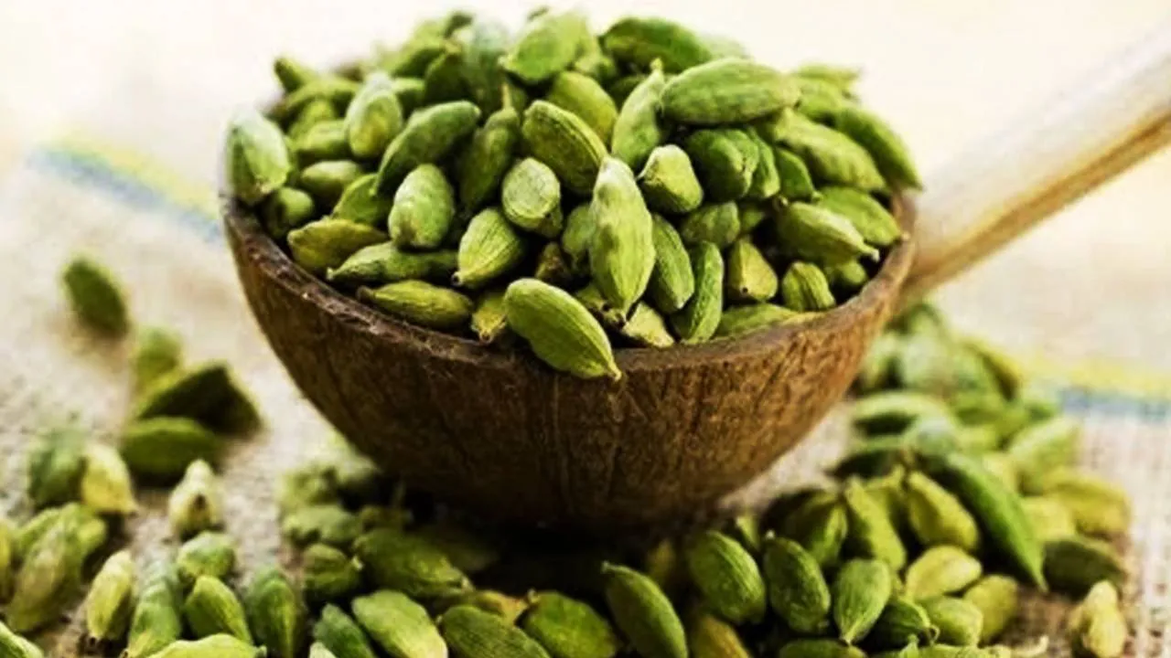 Cardamom