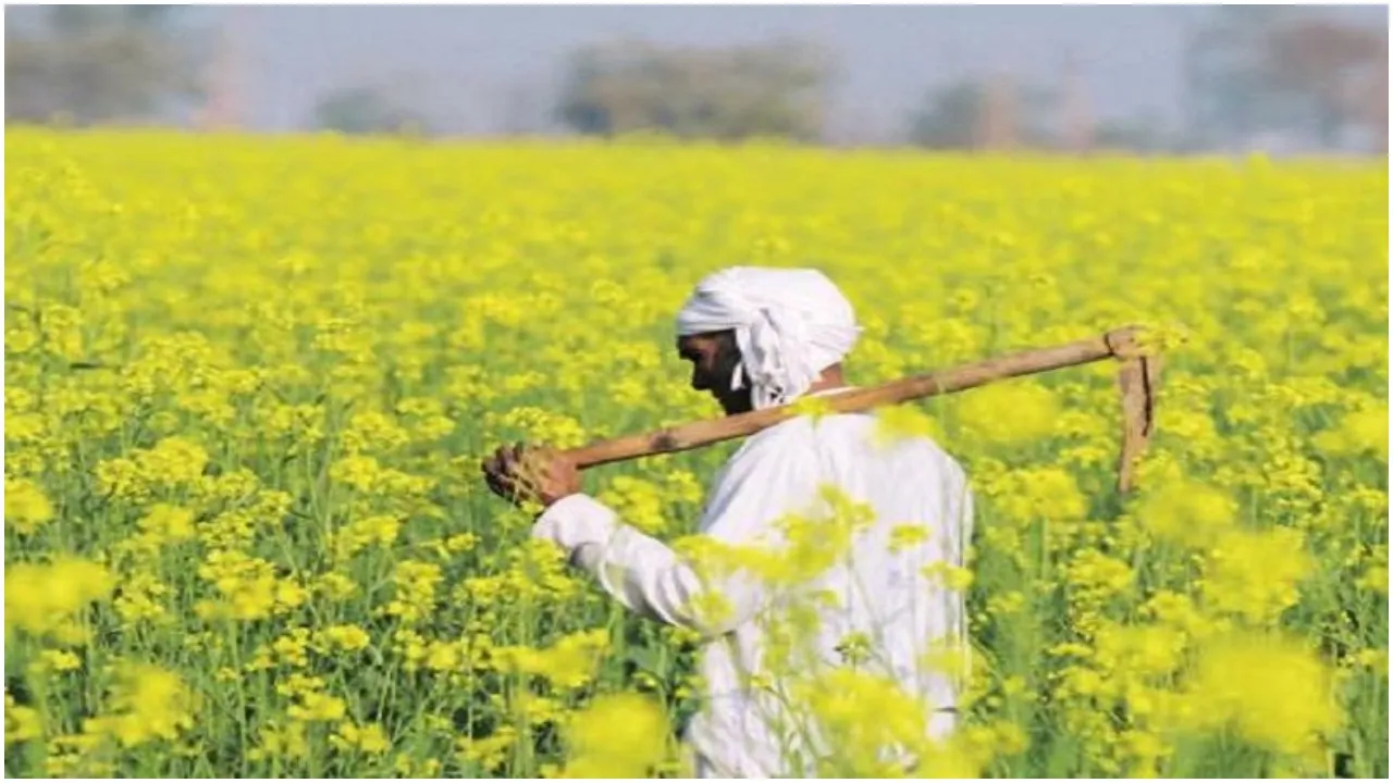 सरसों (Mustard)