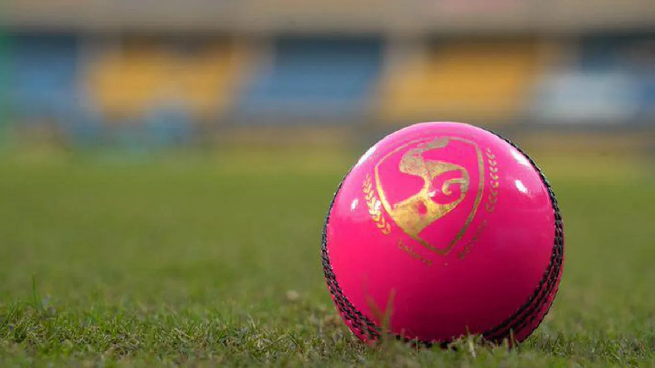 Pink Ball SG