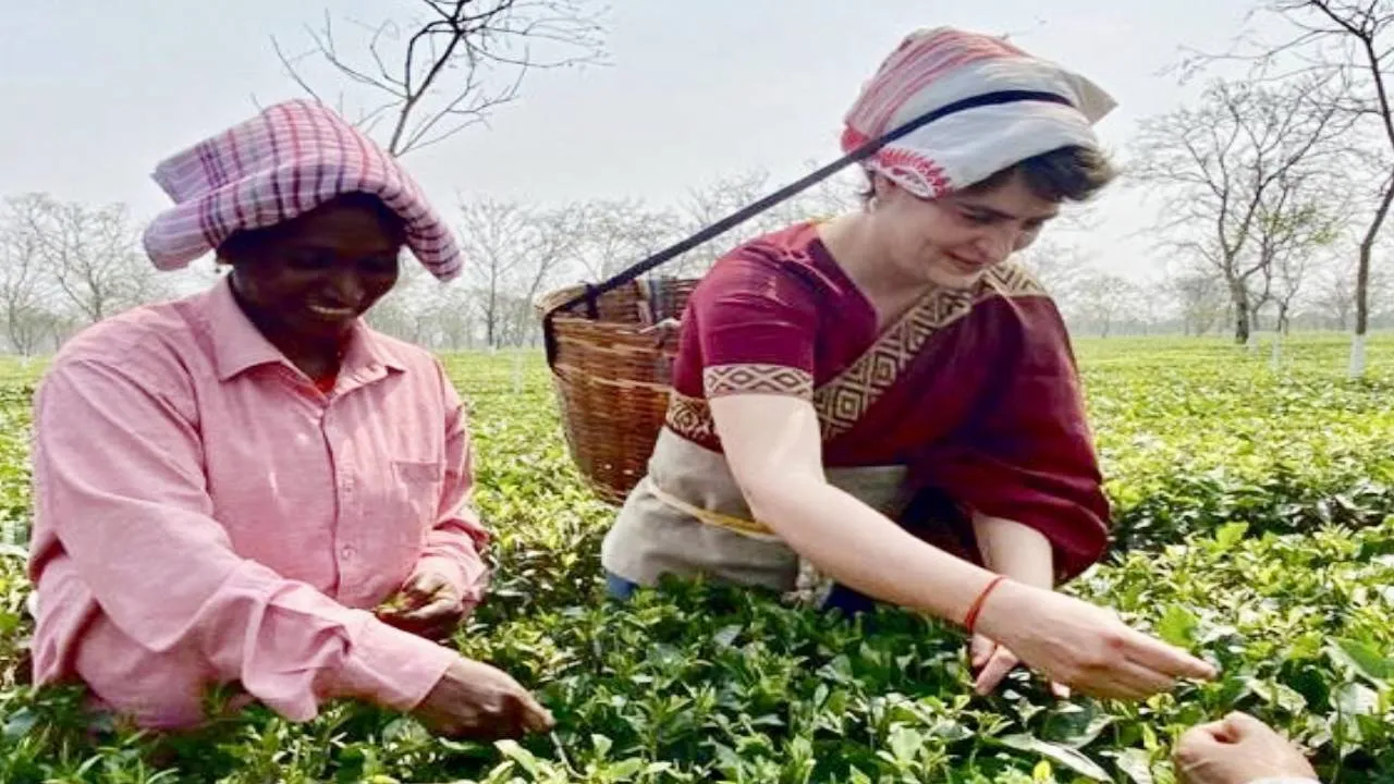 Priyanka Gandhi