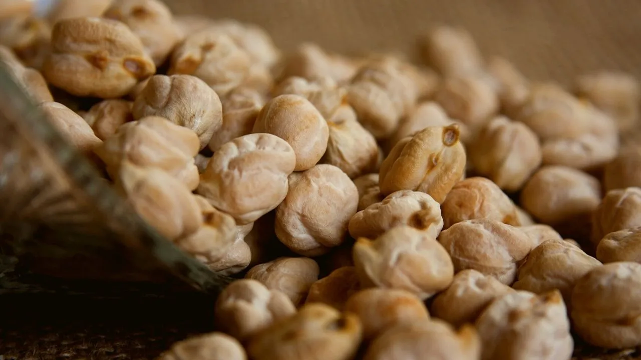 काबुली चना (Kabuli Chana/White Chickpea/Dollar Chana)