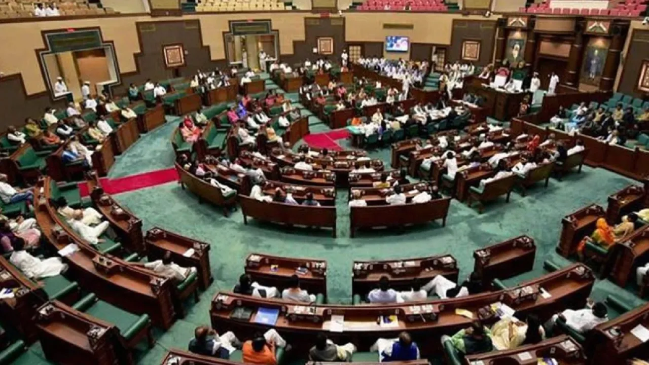 MP Assembly