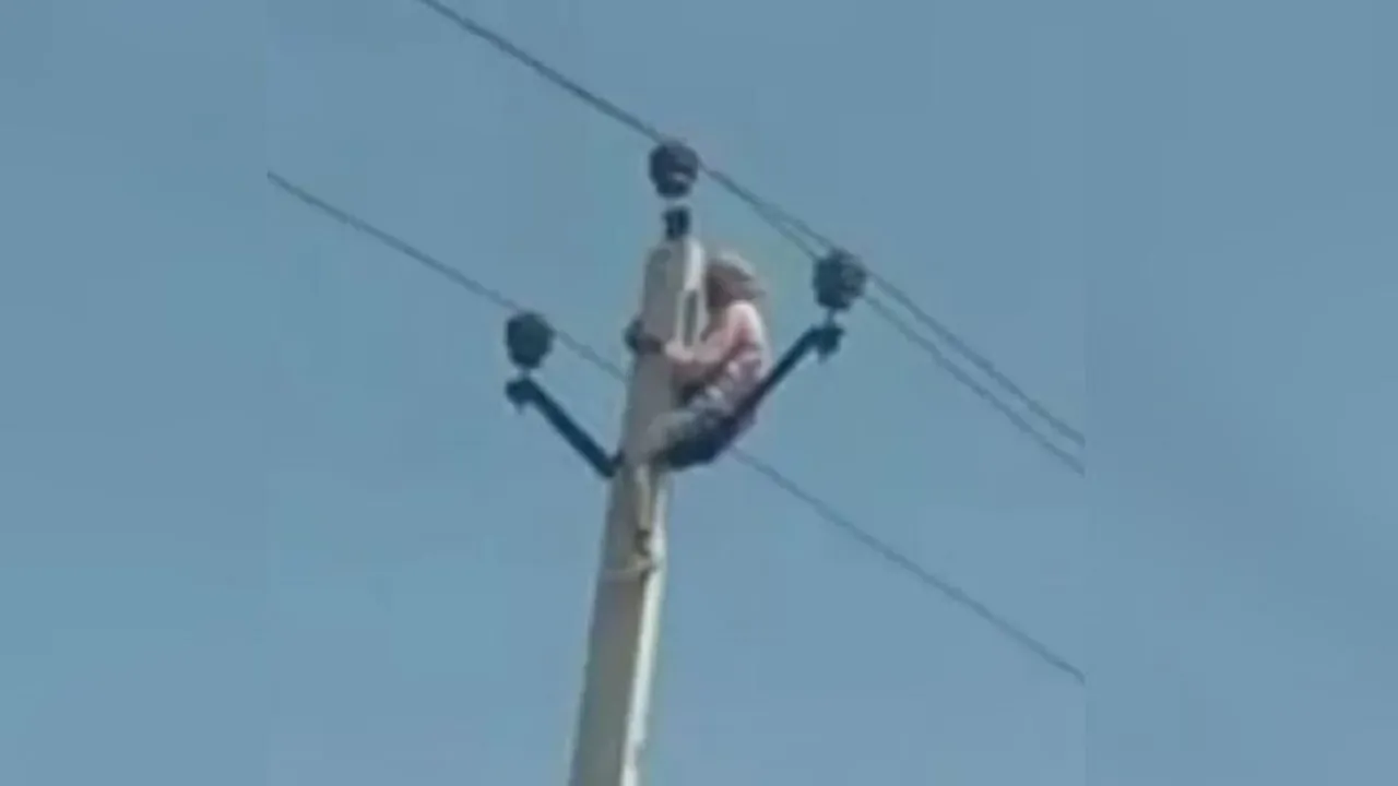 Old Man Climbs Electric Pole