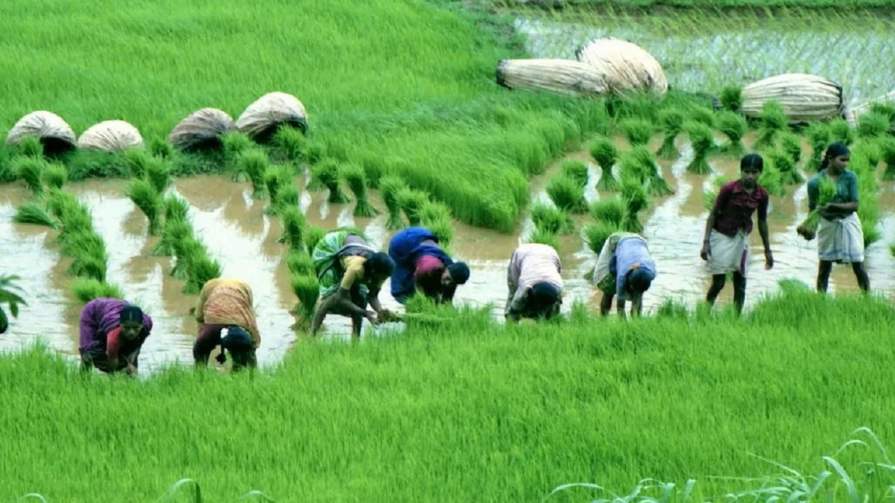 farming