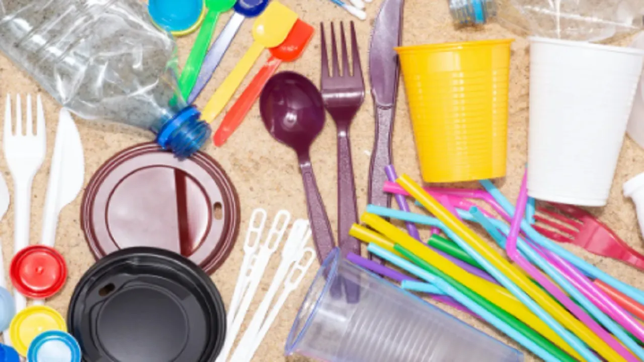 Single Use Plastic
