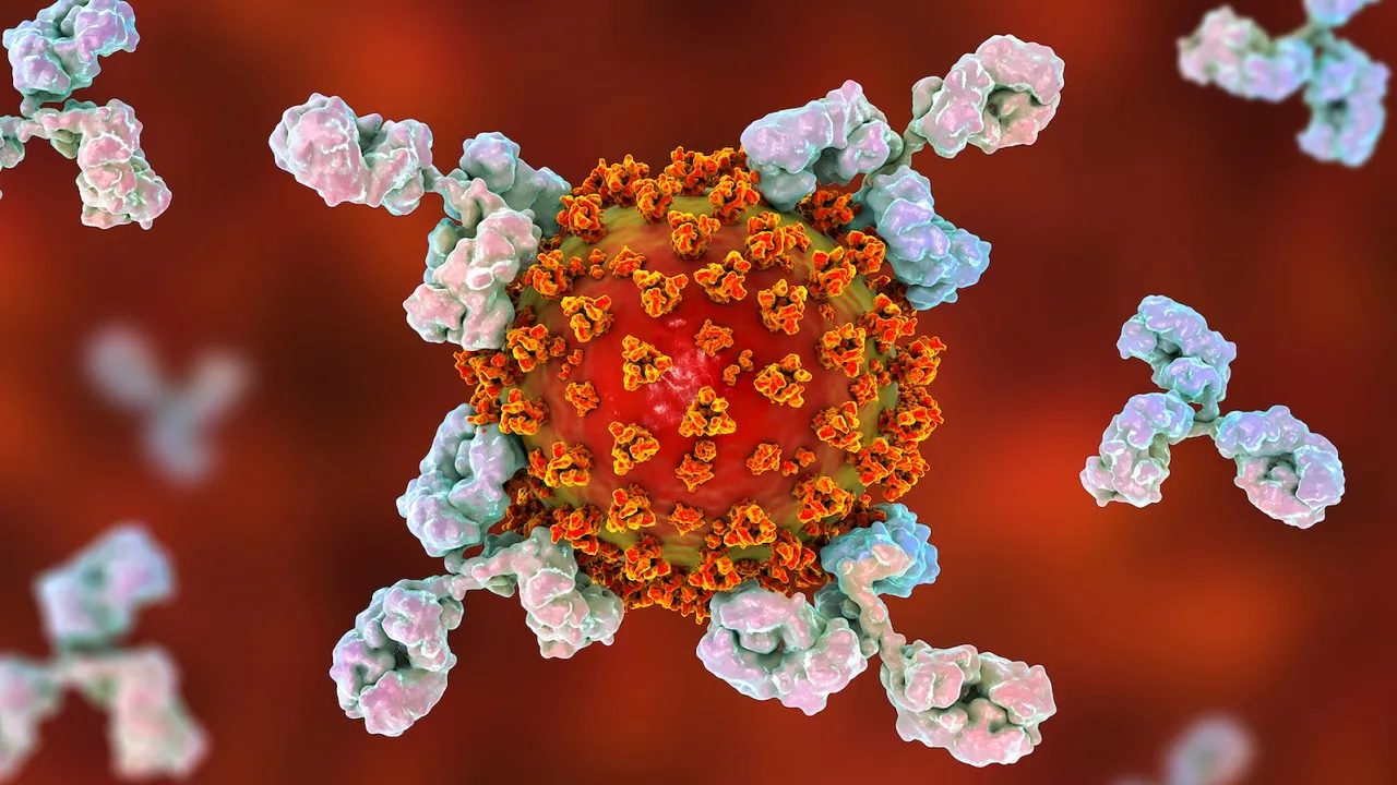शख्स के शरीर में मिली Super Antibody, खत्म कर देगा कोरोना का वजूद
