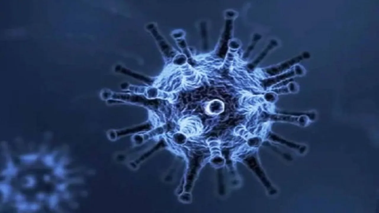 corona virus