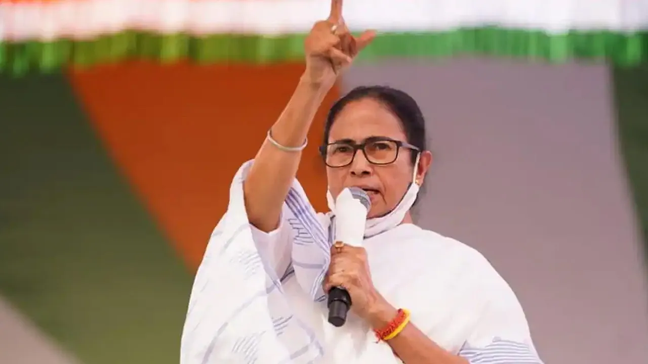 mamta  1