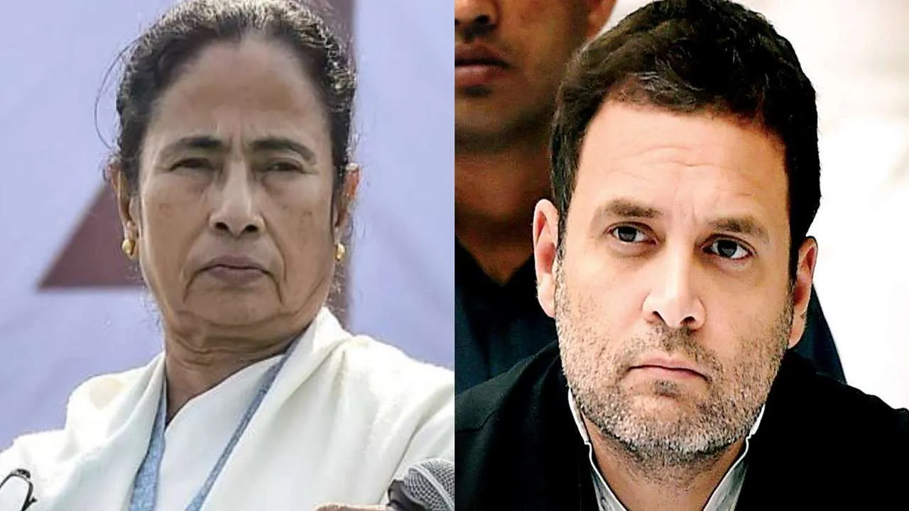 mamata rahul
