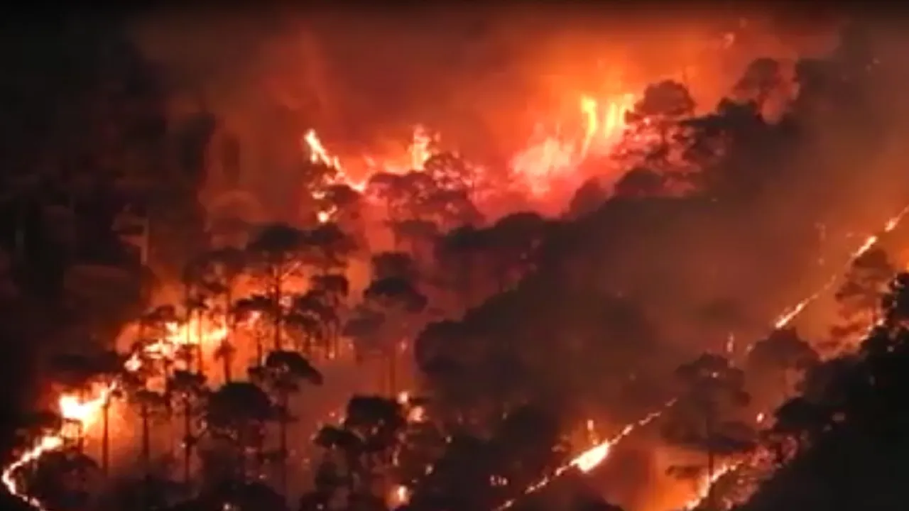 Uttarakhand forest fire