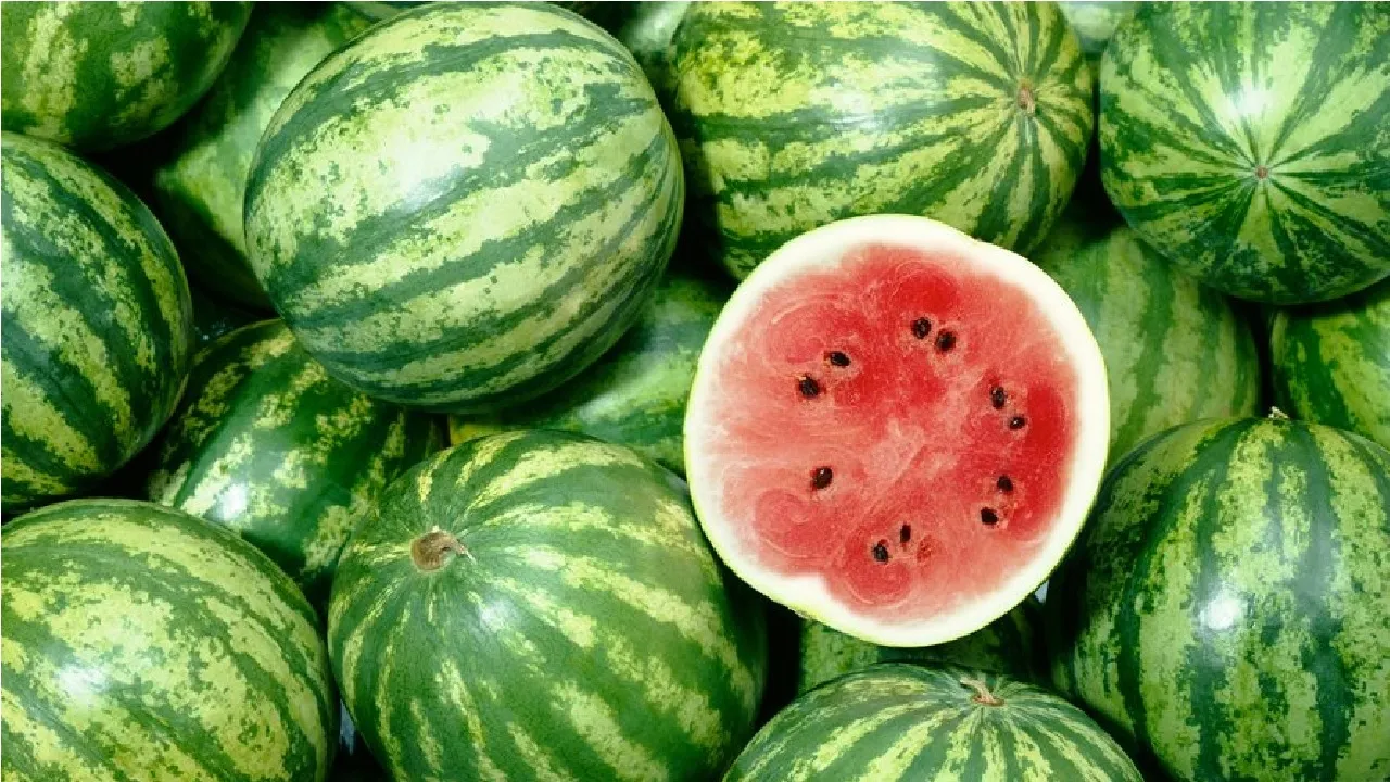 watermelon