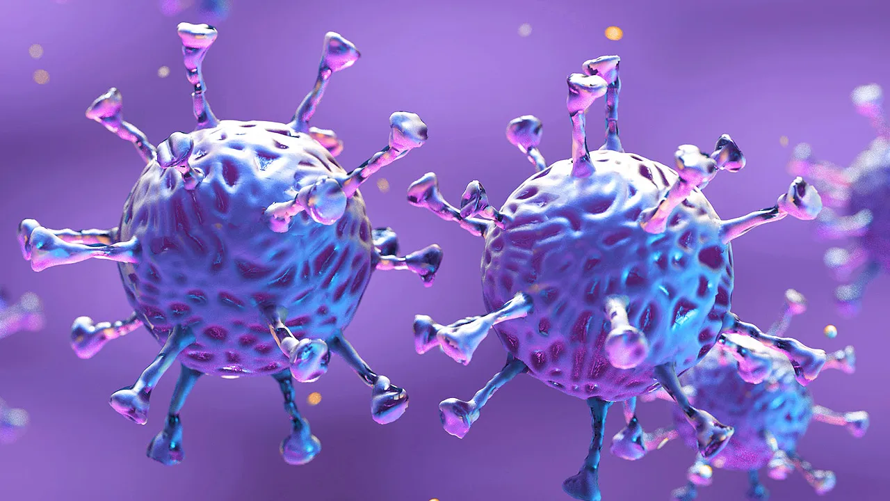 corona virus