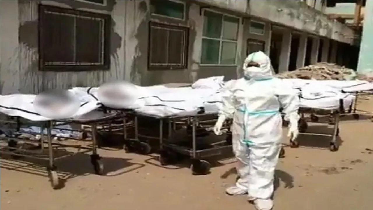 dead bodies