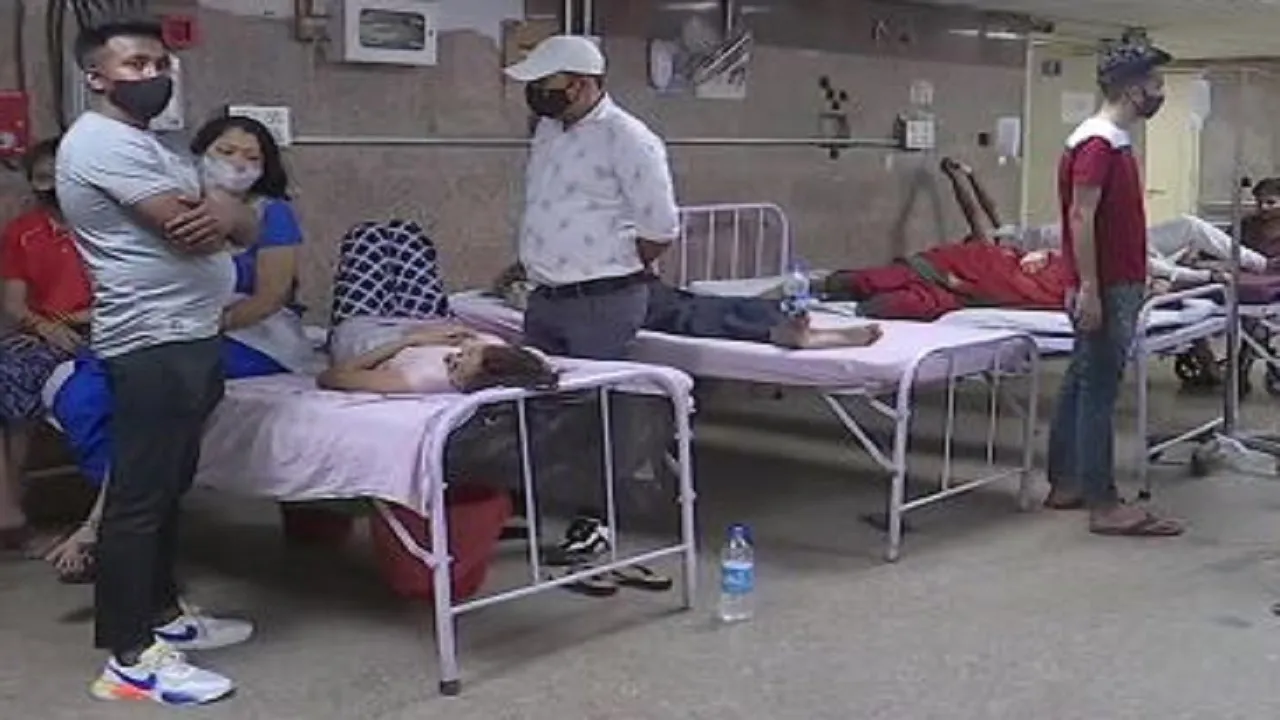 More than 500 people sick of eating poultry flour in Delhi