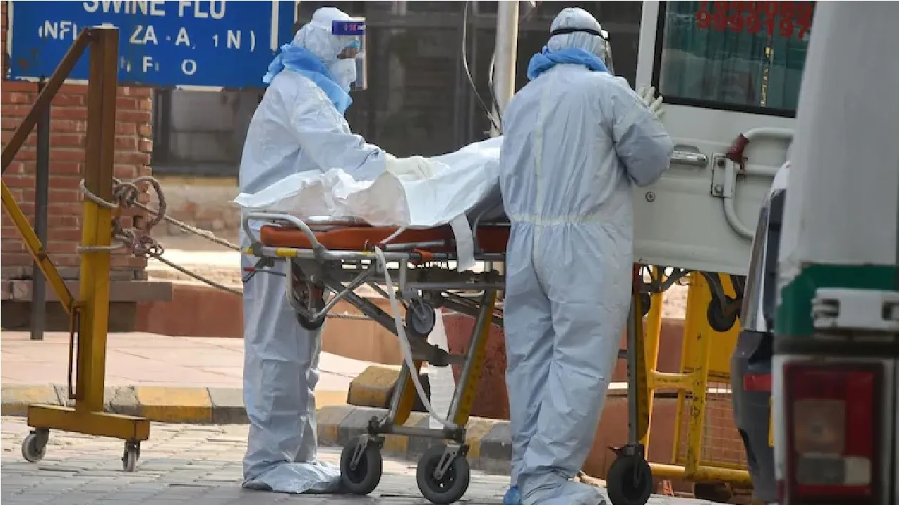 corona virus