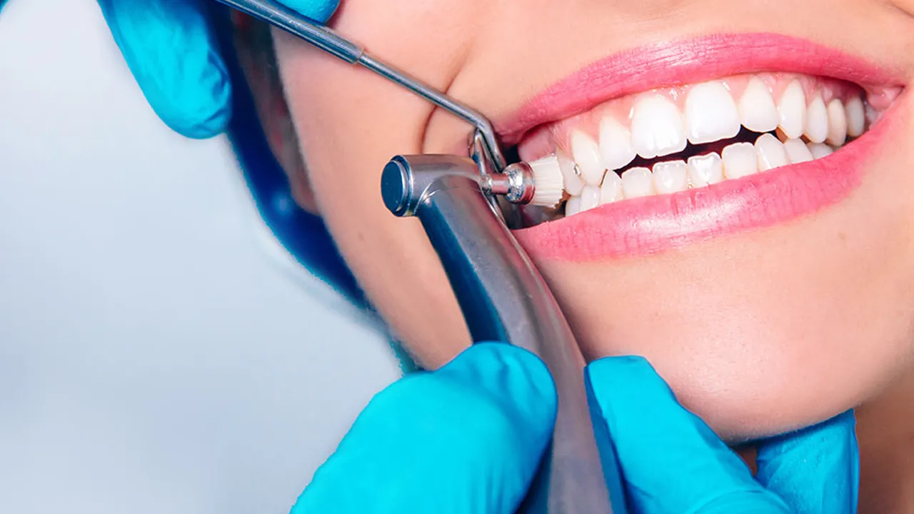 Teeth