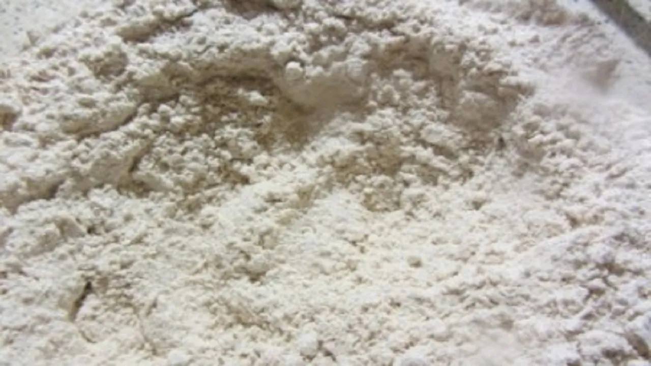 wheat flour