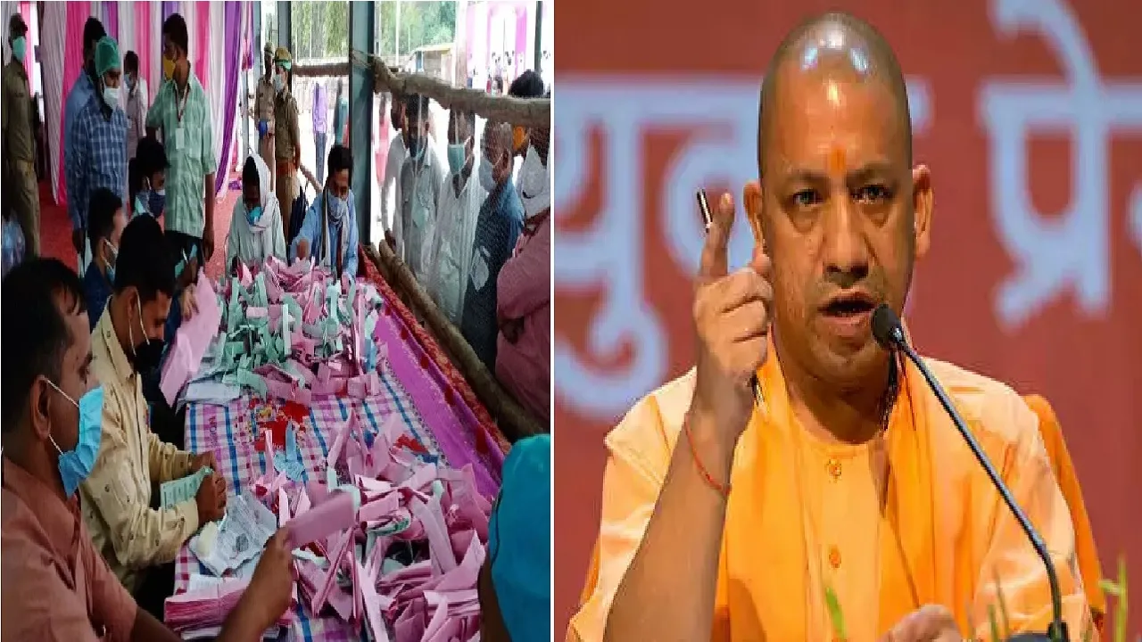 Yogi Government