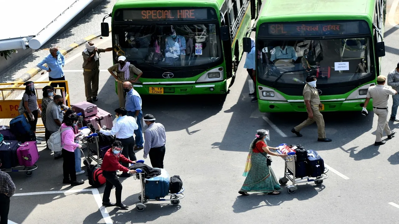 DTC Buses