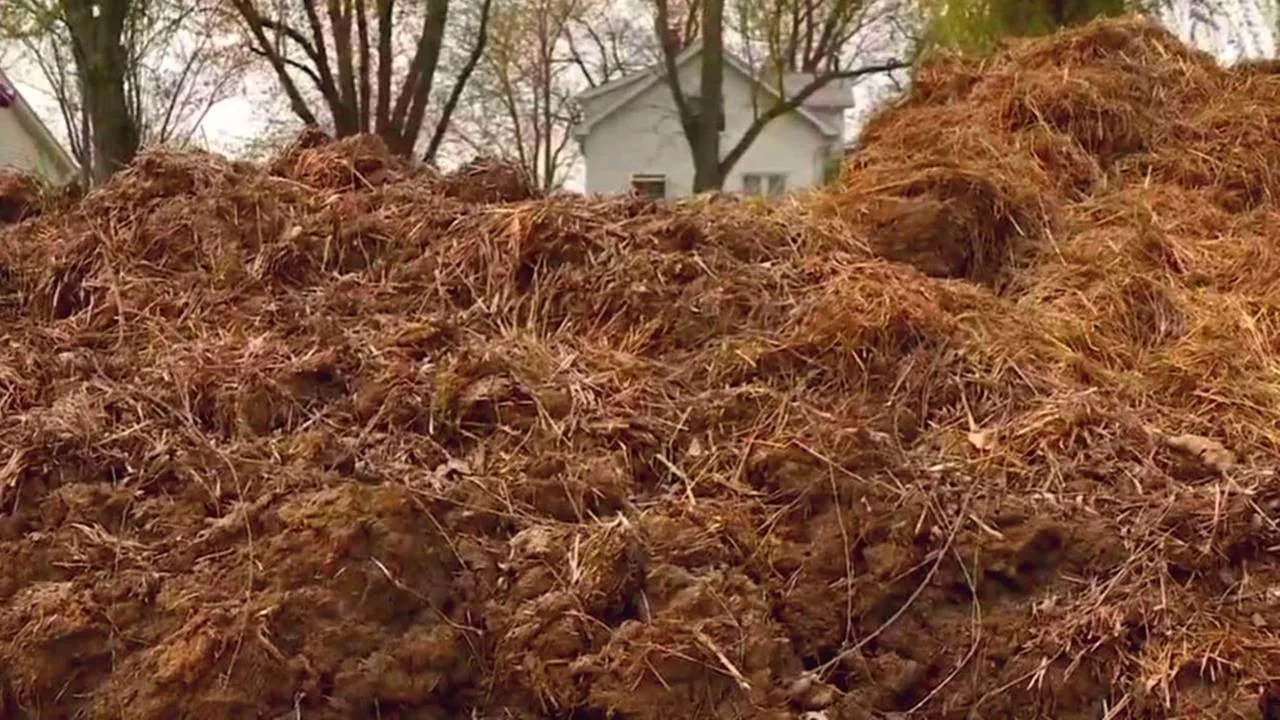 Dung Wall