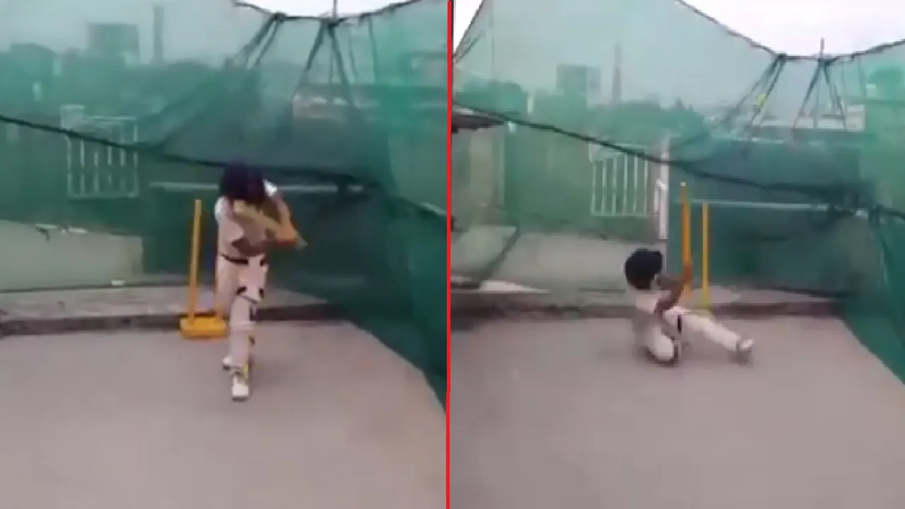 Small Cricketer