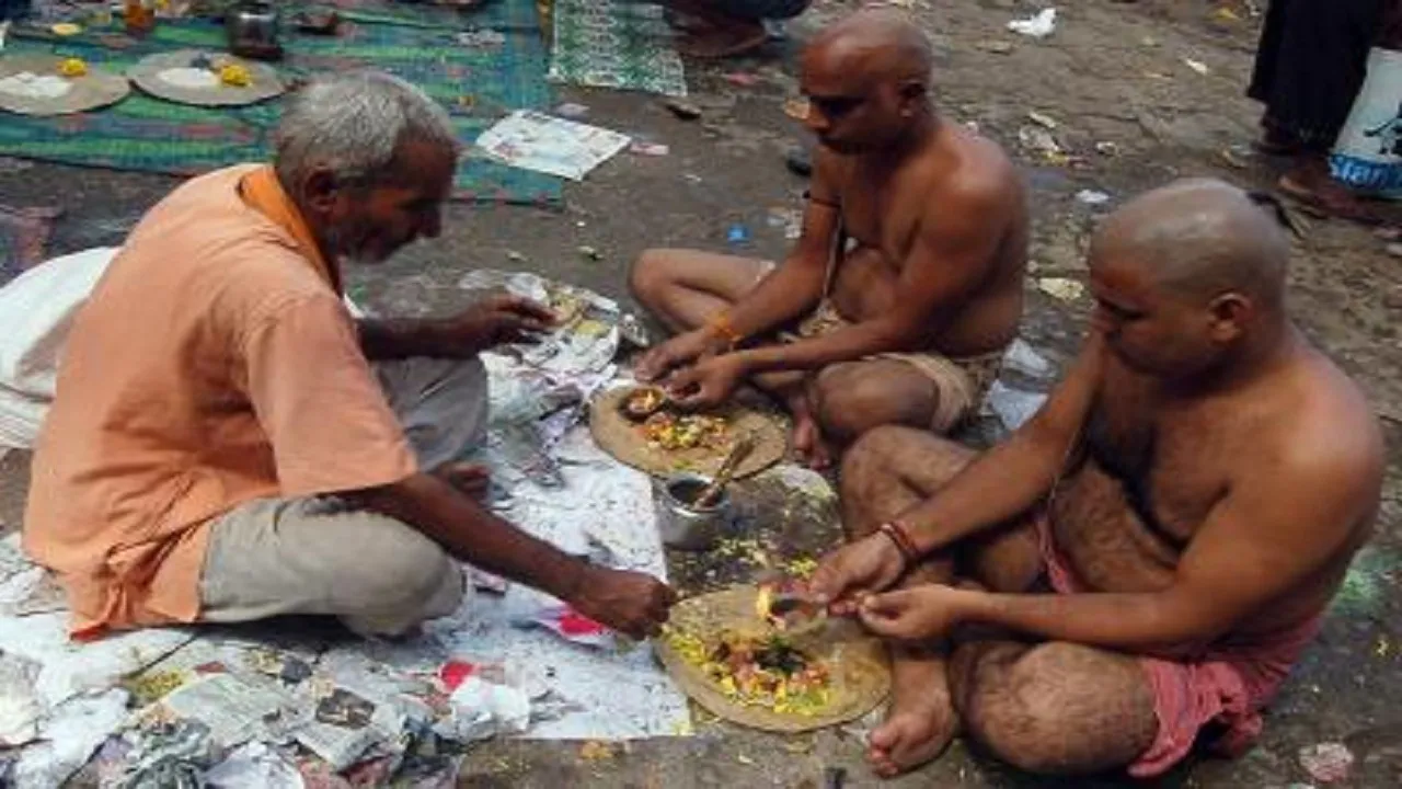 Bihar Panda