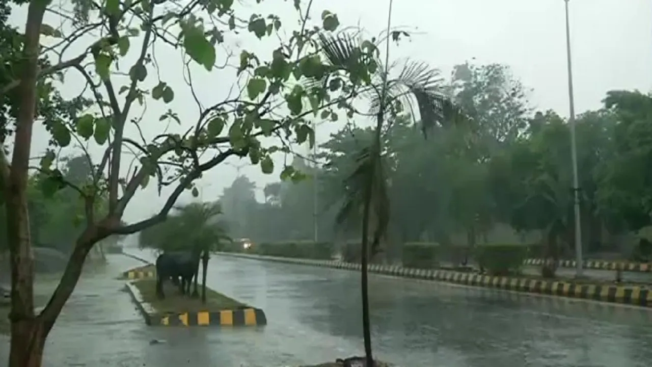 Rain