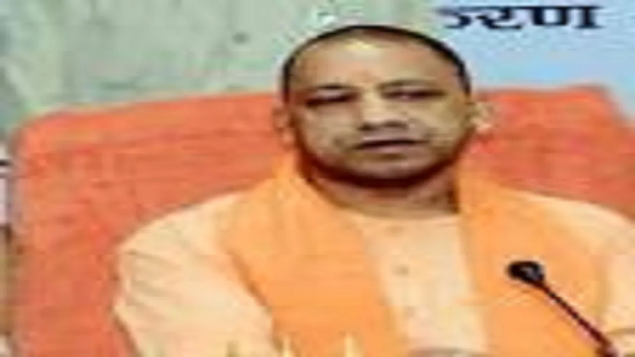 yogi