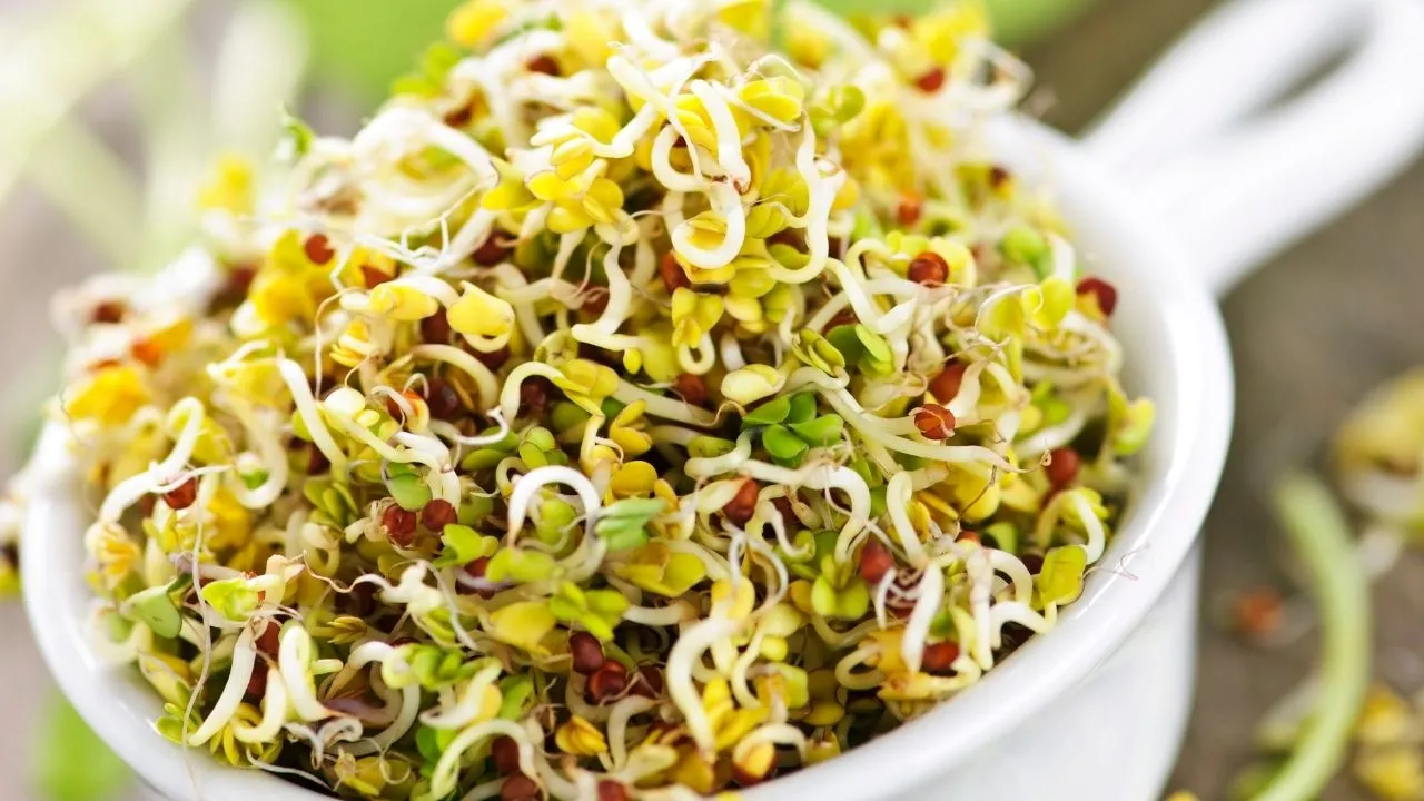 Daal Chaat