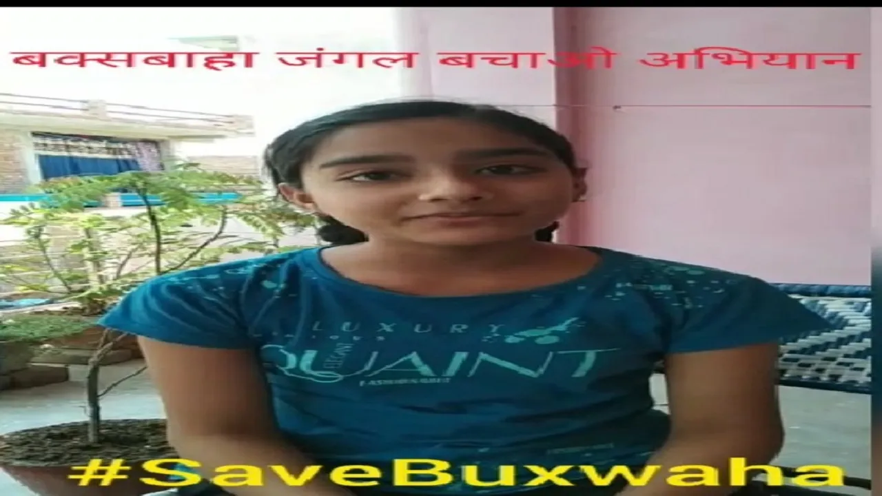 save forest