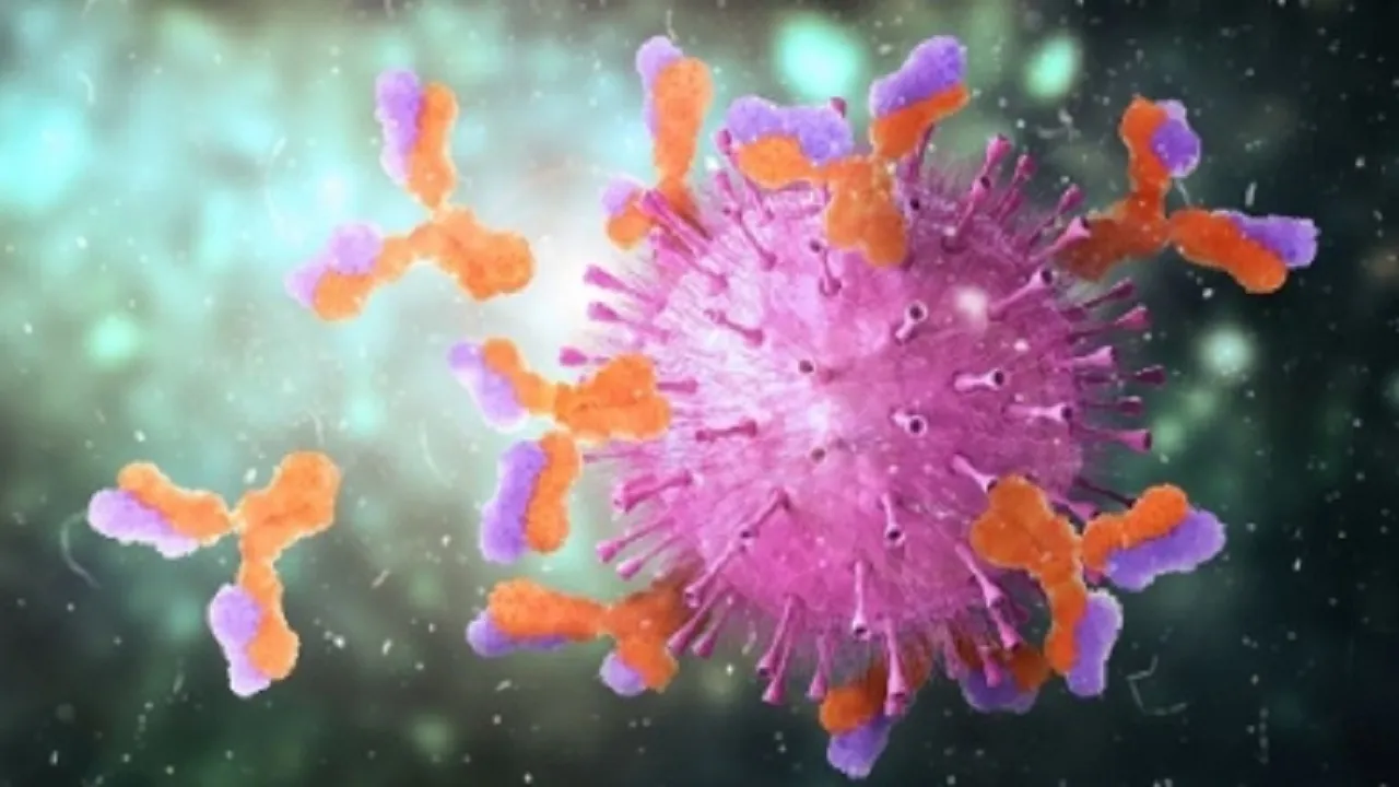Antibody